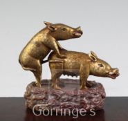 A Chinese gilt bronze model of two boars, on a soapstone base, 13.5cm