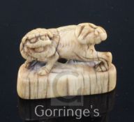 A Japanese ivory netsuke of a shi-shi, Edo period, standing on a crescent shaped plinth, with a