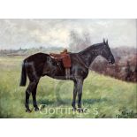 George Paice (1854-1925)oil on canvas,Atherstone - Queen Victoria's favourite hack,signed and