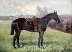 George Paice (1854-1925)oil on canvas,Atherstone - Queen Victoria's favourite hack,signed and