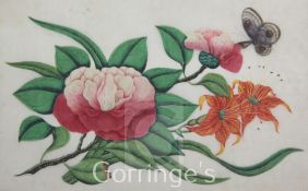 A set of four 19th century Chinese pith paper paintings of flowers, together with one other, 10 x