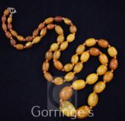 A single strand graduated oval amber bead necklace, with 9ct gold clasp, gross weight 40 grams,