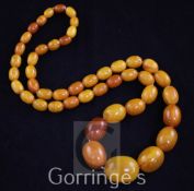 A single strand graduated oval amber bead necklace, gross weight 60 grams, 26in.