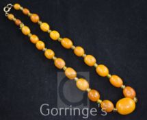 A single strand graduated oval amber necklace with yellow paste spacers, with gilt metal clasp,