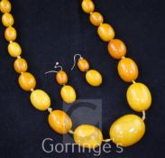 A single strand graduated oval amber bead necklace and pair of double bead earrings, gross weight