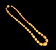 A single strand graduated oval amber bead necklace