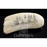 A scrimshaw whale's tooth, decorated with naval battle and a sperm whale, 6.5in.