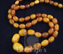 A single strand graduated amber bead necklace, gross 47 grams, 28in.