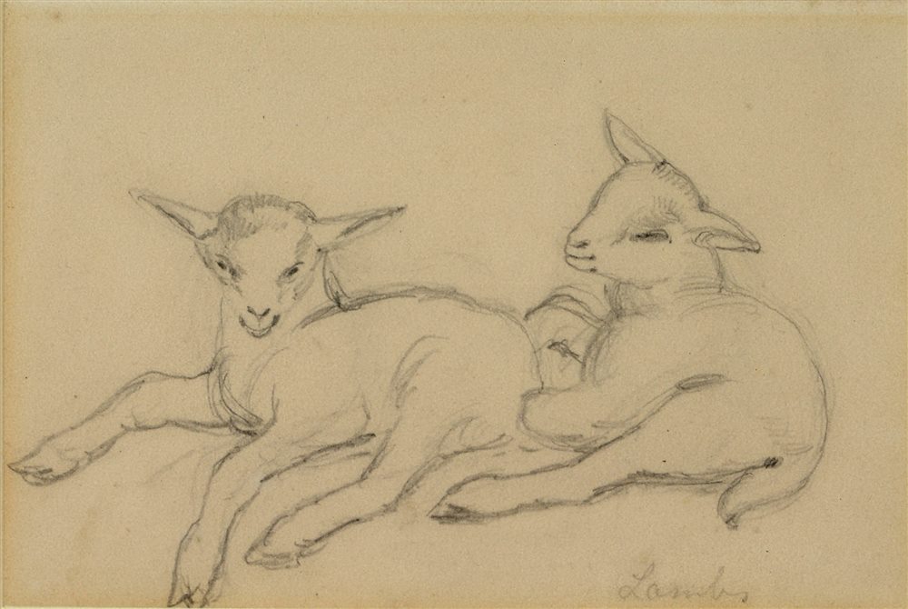 ATTRIBUTED TO ALICE BOYD (BRITISH, 1825-1897) 'Lambs', pencil, titled lower right, inscribed to