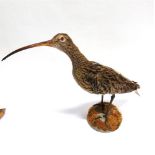 A CURLEW on a plaster moss covered base