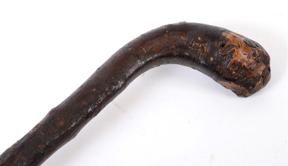 GREAT WAR - PLUG STREET - A RARE SHILLELAGH TYPE BLACKTHORN WALKING STICK the shaft inscribed 'M.M.