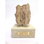 A PIECE OF FOSSILIZED CONIFER WOOD Jurassic period (146 million years old), from near Tisbury (