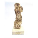 A PIECE OF FOSSILIZED CONIFER WOOD Jurassic period (146 million years old), from near Tisbury (