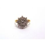 A TWENTY FIVE STONE DIAMOND 18 CARAT GOLD CLUSTER RING the brilliant cuts totalling approximately