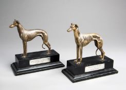 Two Dolores Rocket prestigious Greyhound Racing awards,