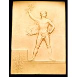A Paris 1900 Olympic Games medal plaque presented by the French Minister of Sports for physical