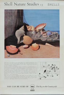 Posters from the Shell Series, qty 31 to include x12 by Tristram Hillier, x10 by Rowland Hilder,