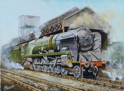 Original Oil Painting on canvas of Bulleid Merchant Navy 35014 NEDERLAND LINE on Bournemouth loco