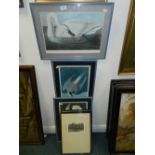 A set of three etchings of Chester signed
Ray Allen and three reproduction prints of 
birds by