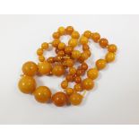 A graduated amber bead necklace, comprising forty seven spherical beads,
