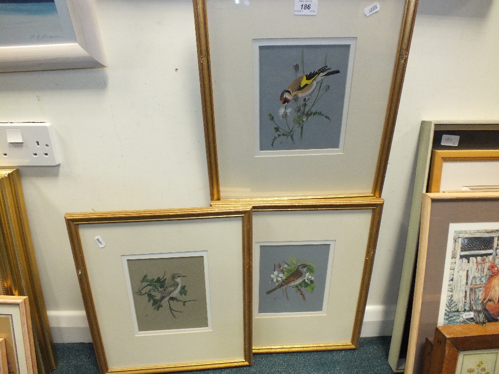 A set of three gouache bird studies signed with the initials AH (3)