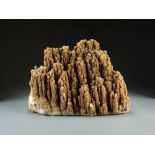 A large aragonite scholar's rock,