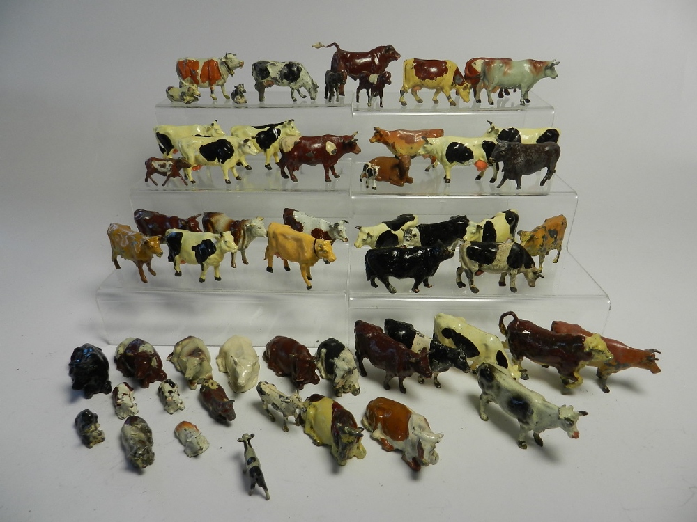 A collection of cattle all cast in lead and by various makers in a variety of poses,