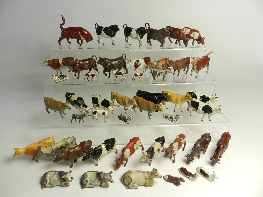 A collection of 47 cattle and bulls by various makers including Britains in a variety of poses and