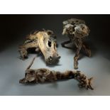 Three Chinese scholar's natural wood roots, of mid to pale brown hue,