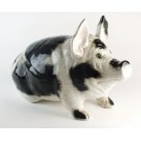 A large black and white pig retailed by T.Goode and Co, circa 1900, perhaps Wemyss but unmarked, 28.
