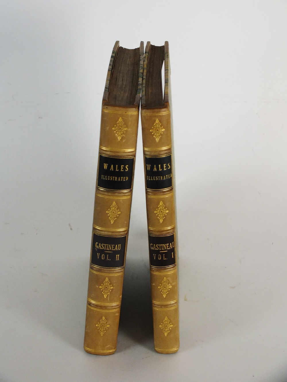 GASTINEAU, Henry, 'Wales Illustrated', 2 vols, 4to, 1830,