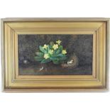 English School, late 19th century Still life with a nest and primroses beside a mossy bank,