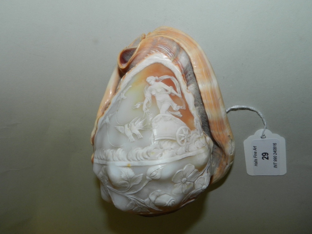 A carved cameo shell light shade