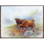 Harry Stinton: a painting of two Highland cattle in a naturalistic landscape signed lower right 'H