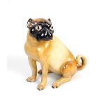 A Meissen porcelain model of a pug dog, late 19th century,