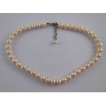 A freshwater cultured pearl necklace with a white metal (tests silver) clasp,