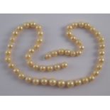 A cultured pearl necklace (lacking clasp), pearls approx 7.5 - 9.5mm diameter.