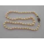 A single strand cultured pearl necklace, composed of 62 graduated pearls 6.2 - 8.