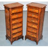 A GOOD PAIR OF EARLY 20TH CENTURY FRENCH KINGWOOD CABINETS inlaid with floral panels and vines to