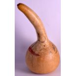 AN UNUSUAL EARLY 20TH CENTURY PAINTED GOURD depicting a comical portrait. 1Ft 8ins long.
