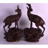 A GOOD PAIR OF 19TH CENTURY BLACK FOREST BAVARIAN FIGURES ON BRACKETS in the form of mountain deer