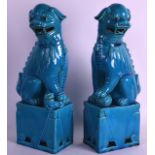 A PAIR OF EARLY 20TH CENTURY CHINESE TURQUOISE GLAZED DOGS OF FOE of large proportions, modelled