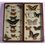 A PAIR OF VICTORIAN CASED BUTTERFLIES contained within two wood mounted glass front display boxes.