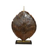 A LOVELY TORTOISESHELL LAMP Attributed to Maison Jansen, the shell C1900-1920, the mounts 20th