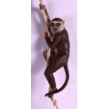 A RARE 19TH CENTURY CONTINENTAL BISQUE MONKEY CURTAIN ORNAMENT modelled holding a sheath of corn,