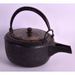 A GOOD 18TH/19TH CENTURY JAPANESE EDO PERIOD IRON TEAPOT AND COVER the body decorated with