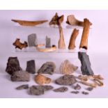 A COLLECTION OF VARIOUS FOSSILS, SLATE, BONES in various forms and sizes. (qty)
