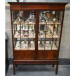 AN EDWARDIAN TWO DOOR DISPLAY CABINET.