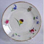 AN EARLY 19TH CENTURY SWANSEA PORCELAIN PLATE probably painted by David Evans. 7.25ins diameter.