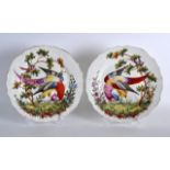 A PAIR OF 19TH CENTURY SAMSONS OF PARIS LATTICE WORK PLATES painted with exotic birds within a